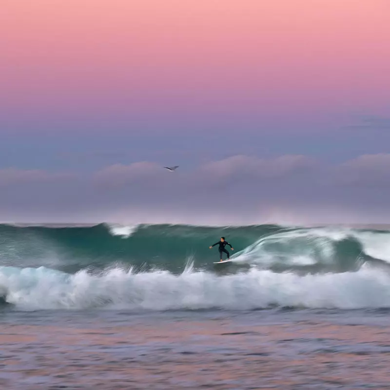 SURF TOURS