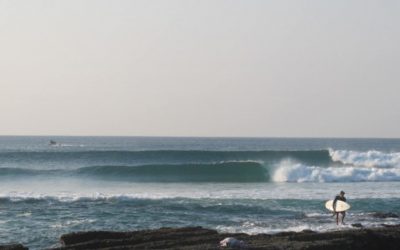 SOUTH AFRICAN SURFARI
