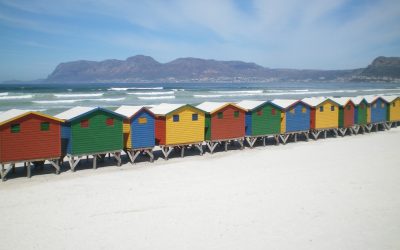 MUIZENBERG: A SURF LEGACY