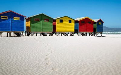 WHAT TO DO IN MUIZENBERG AFTER YOUR STOKED SURF LESSON
