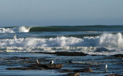 OFF THE BEATEN TRACK: OUR SURF INSTRUCTORS’ FAVOURITE SURFING SPOTS